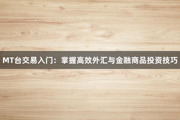 MT台交易入门：掌握高效外汇与金融商品投资技巧