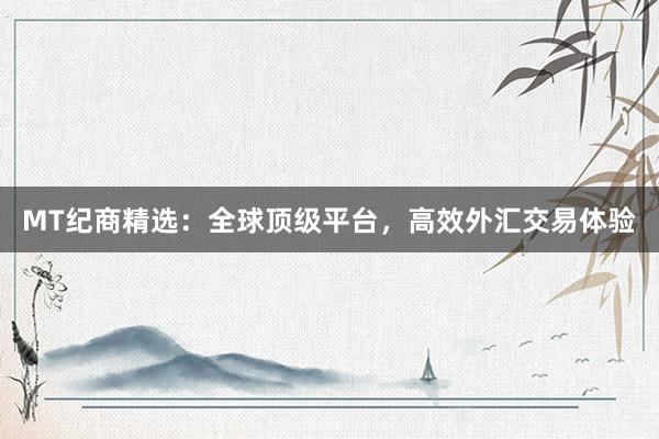 MT纪商精选：全球顶级平台，高效外汇交易体验