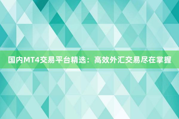 国内MT4交易平台精选：高效外汇交易尽在掌握